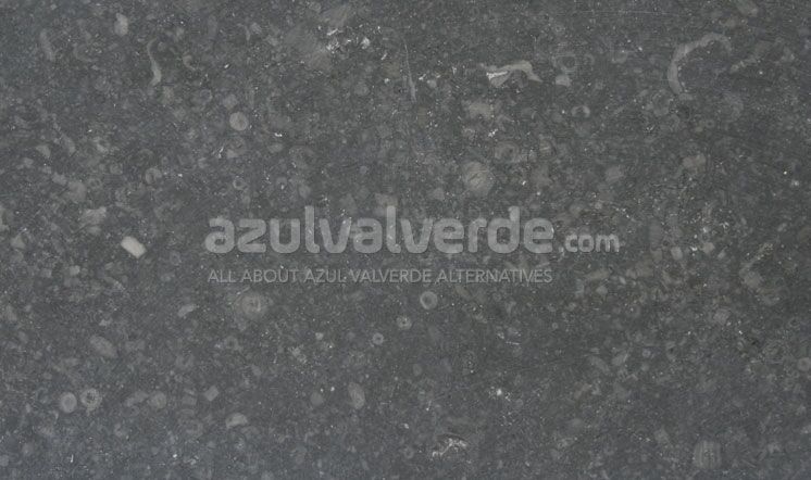 Gris Europa Limestone