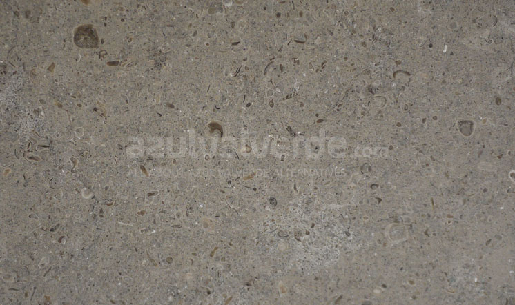 Gris Pardo Limestone