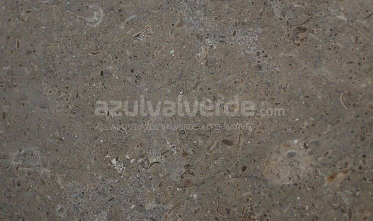 Gris Pardo Dark Limestone