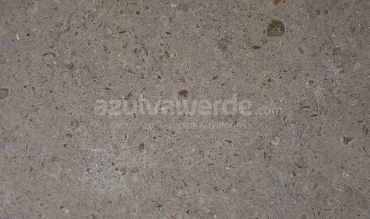 Gris Pardo Limestone