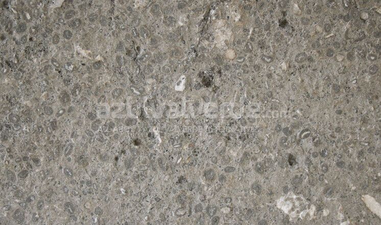 Gris Perlato Limestone
