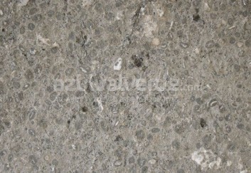 Gris Perlato Limestone