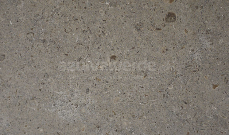 Peniche Dark limestone